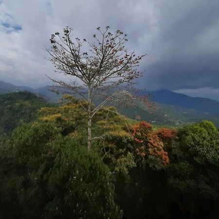Palmtree Leaf, Munnar Exterior foto