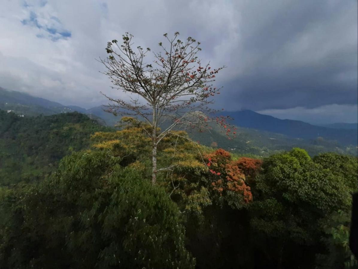 Palmtree Leaf, Munnar Exterior foto